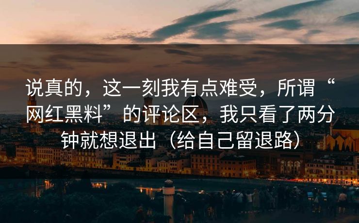 说真的，这一刻我有点难受，所谓“网红黑料”的评论区，我只看了两分钟就想退出（给自己留退路）